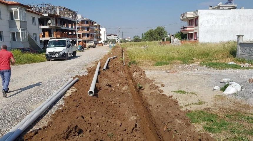 İçme Suyu Hattından 3 Metrelik Ağaç Kökü Çıktı