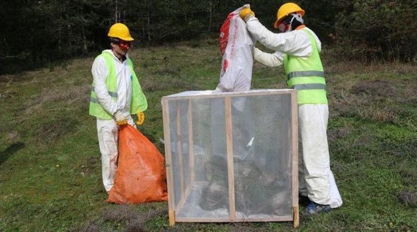 Yığılca&rsquo;da Orman Zararlıları İle M&uuml;cadele Yapıldı