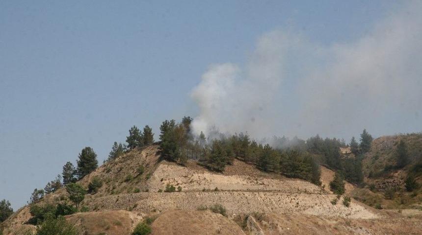 Mangalcıların Ormanı Yaktığı İddiası