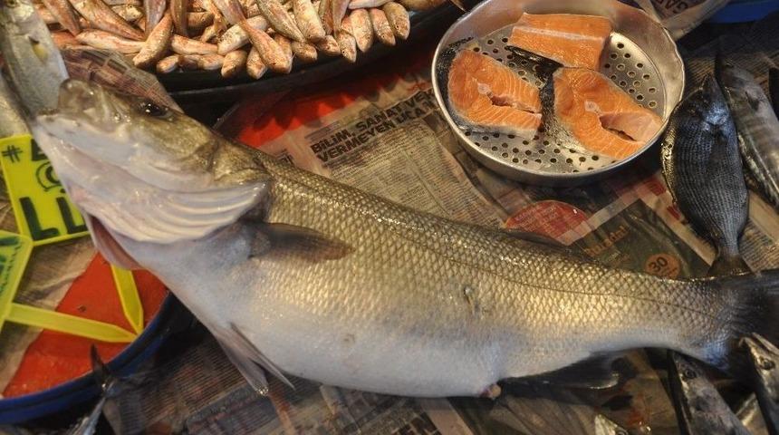 Tanesi Bin Tl&rsquo;ye Levrek