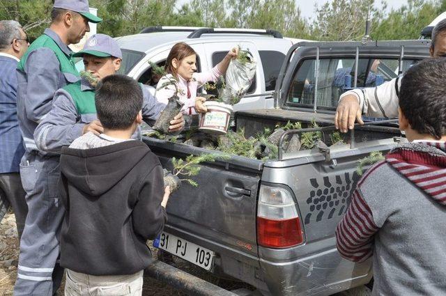 Hatay’da Ağaç Dostu Öğrenciler Bin 200 Fidanı Toprakla Buluşturdu