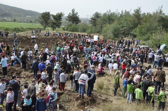 Hatay’da Ağaç Dostu Öğrenciler Bin 200 Fidanı Toprakla Buluşturdu