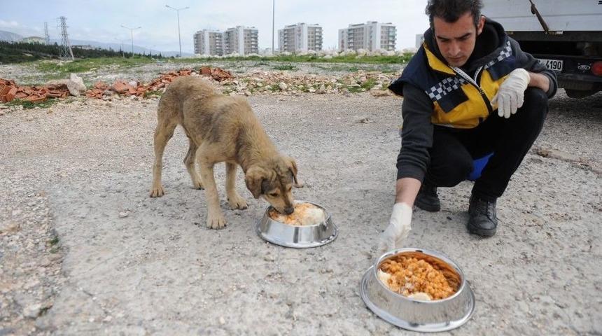 Can Dostlara Gıda Desteği