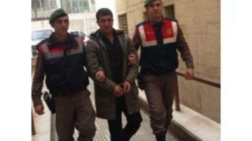 Devriye Gezen Jandarma Pkk &Uuml;yesini Yakaladı