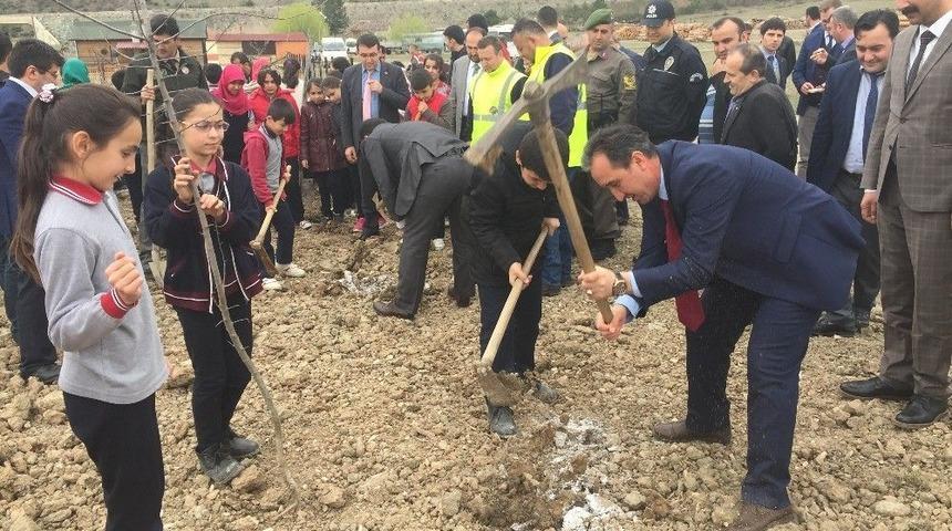 Han&ouml;n&uuml;&rsquo;nde &Ouml;ğrenciler Fidan Dikti