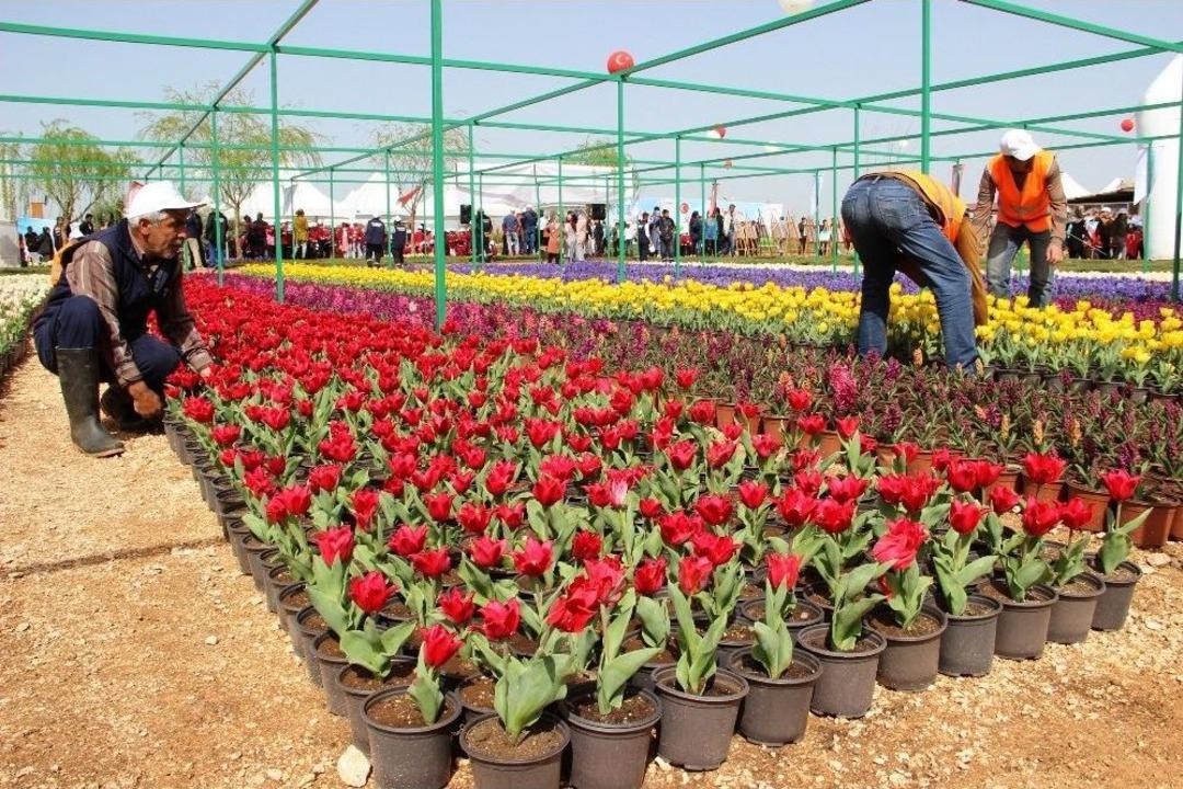 Kayapınar&rsquo;da 2 Milyon &Ccedil;i&ccedil;ek Toprakla Buluşturuyor