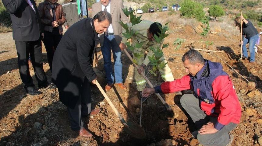 Antakya&rsquo;da Yanan Yerler &Ouml;ğretmenlerin Fidanlarıyla Yeşerecek