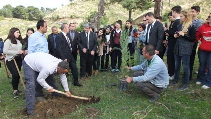 Burhaniye’de Hemşire Adayları Ağaç Dikti G3