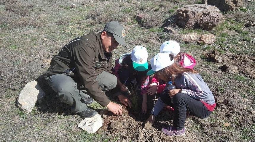 Aksu&rsquo;da 500 Fidan Toprakla Buluştu