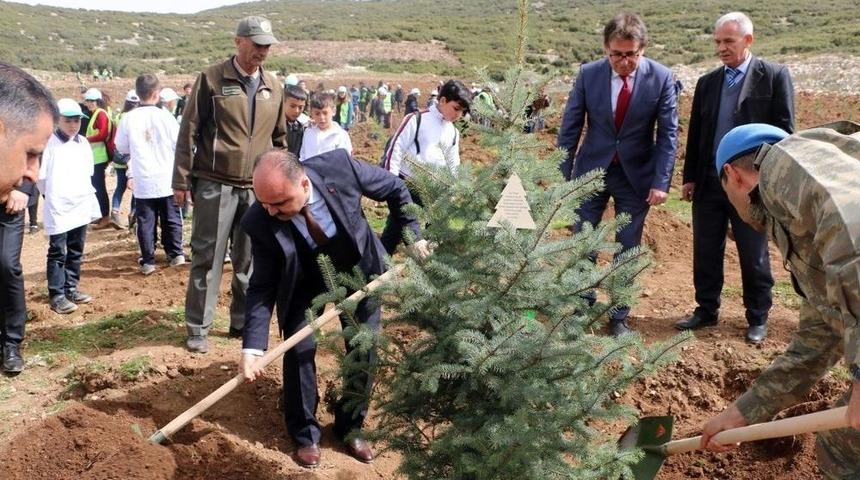 Isparta&rsquo;da Fidan Dikim Etkinliği