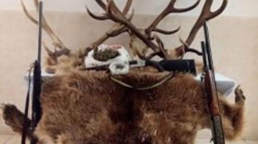 Ayı, Karaca Ve Geyik Vuran Zanlılara 67 Bin Tl Para Cezası