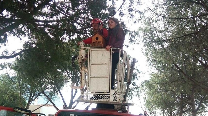 Okul Bah&ccedil;esine Kuş Kafesi Yerleştirdiler