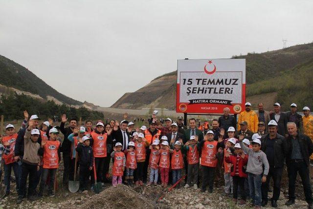 Niksar’da “15 Temmuz Şehitleri Hatıra Ormanı” Kuruldu