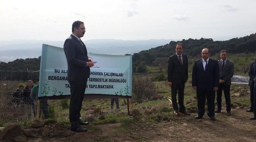 Bergama&rsquo;da Şehitlerimiz Anısına Fidan Dikimi