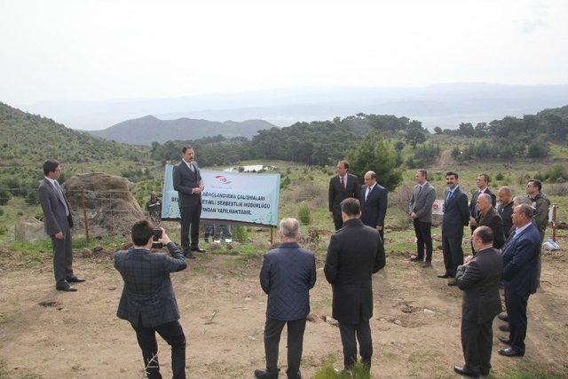 Bergama’da Şehitlerimiz Anısına Fidan Dikimi