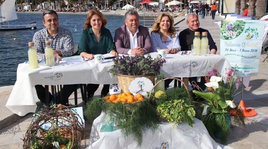 Bodrum&rsquo;da Ot Festivali Hazırlıkları Tamamlandı