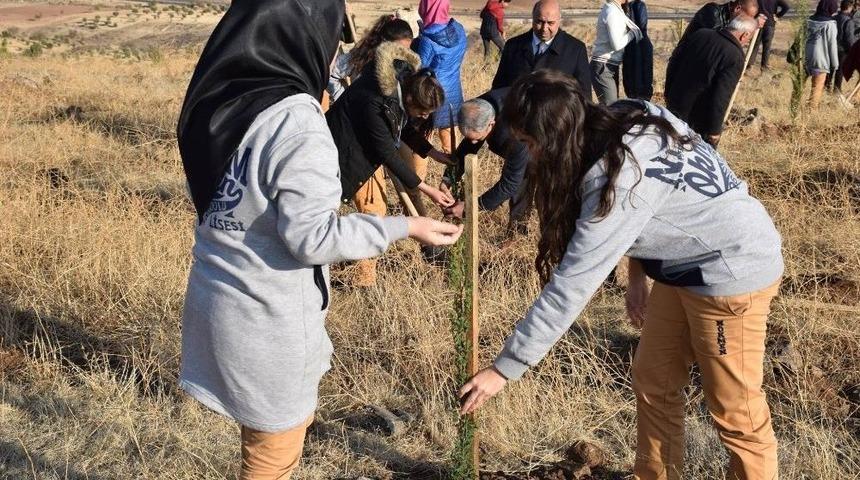 &Ouml;ğretmenler Adına Fidan Dikildi