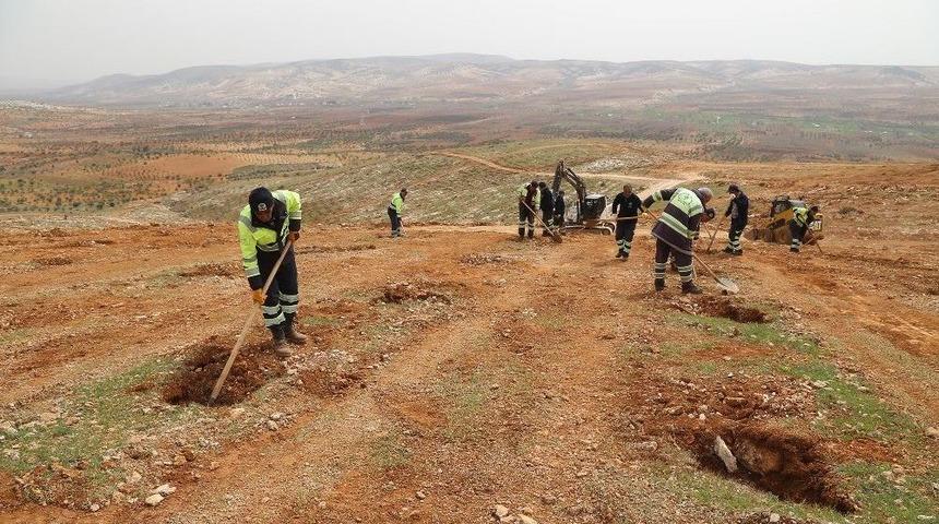 16. Etap Bi D&uuml;nya Yeşil Ormanı Kuruluyor