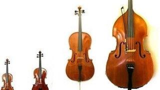 Keman türlerinin en kalın sesli olanı hangisidir? (Hadi İpucu 10 Eylül 20.30) 