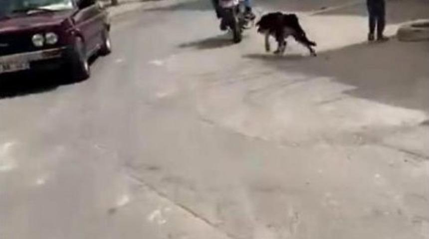 Vicdansızlığın B&ouml;ylesi G&ouml;r&uuml;lmedi