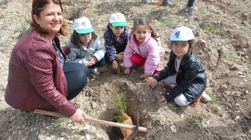 Akyar’da Ağaç Bayramı