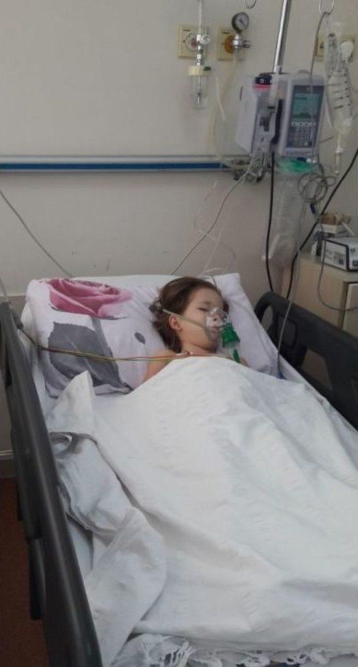 Minik Elif İçin 25 Bin İmza Toplandı G2