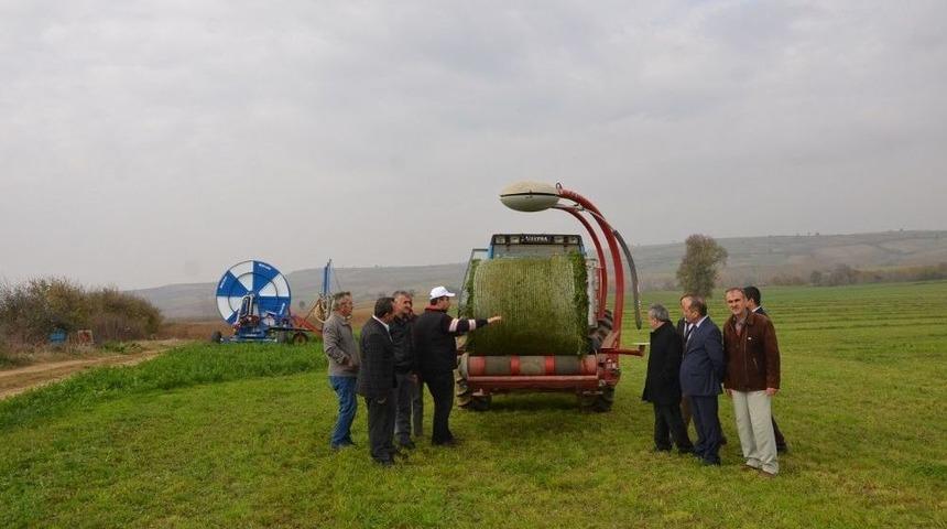 Yonca Silajı Paketleme &Ccedil;alışmaları