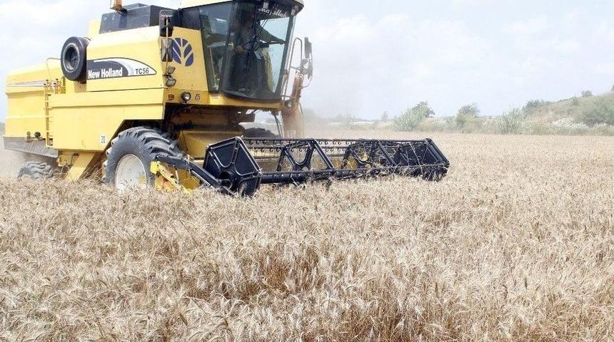 Antalya’da Antbrilik Buğday Alım Fiyatını Açıkladı