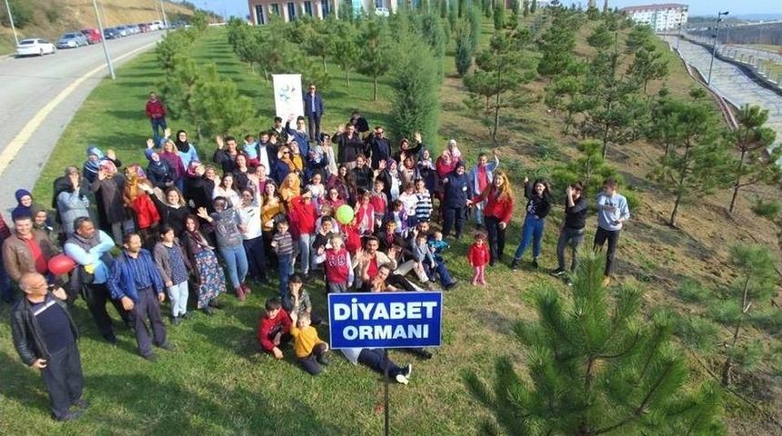 Diyabet Haftası D&uuml;zce &Uuml;niversitesi&rsquo;nde Dolu Dolu Ge&ccedil;ti