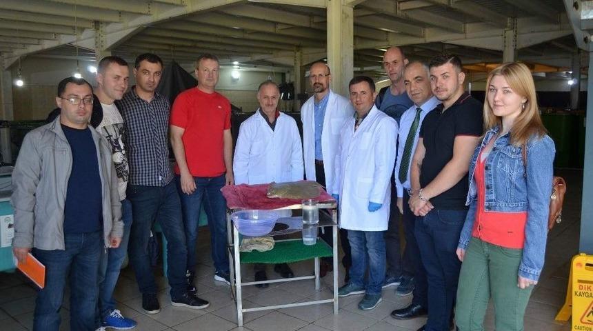 20 Yıl &Ouml;nce Japonlar&rsquo;dan &Ouml;ğrendik, Şimdi Biz &Ouml;ğretiyoruz