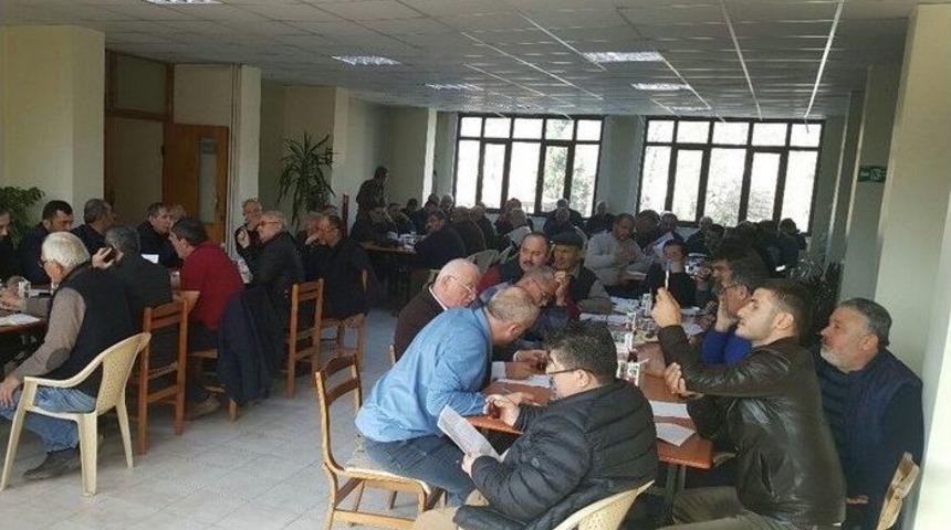 Kayın Ve G&ouml;knar Tomruk İhalesinde 2 Milyonluk Satış Yapıldı