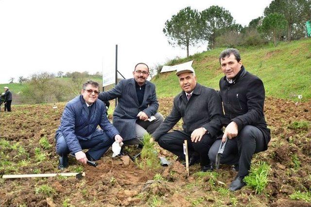 Bigalı Mehmet Çavuş Ağaçlandırma Projesi