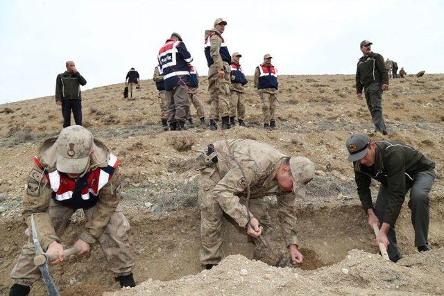 Afrin Şehitleri Anısına Fidan Diktiler