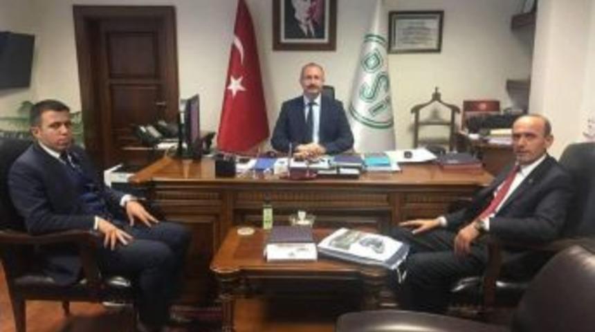 &Ccedil;avdarhisar&rsquo;da Penkalas &Ccedil;ayı Islah Edilecek