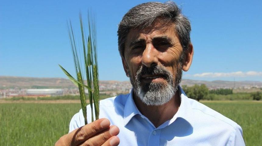 Yağmurlar &Uuml;reticinin Y&uuml;z&uuml;n&uuml; G&uuml;ld&uuml;rd&uuml;