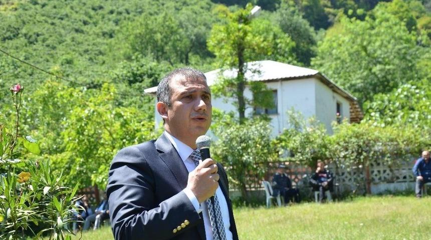 G&uuml;ney: &ldquo;fındığa Alternatif &Uuml;r&uuml;n Yok&rdquo;