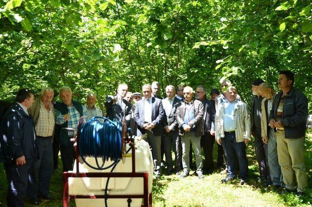 Güney: “fındığa Alternatif Ürün Yok”