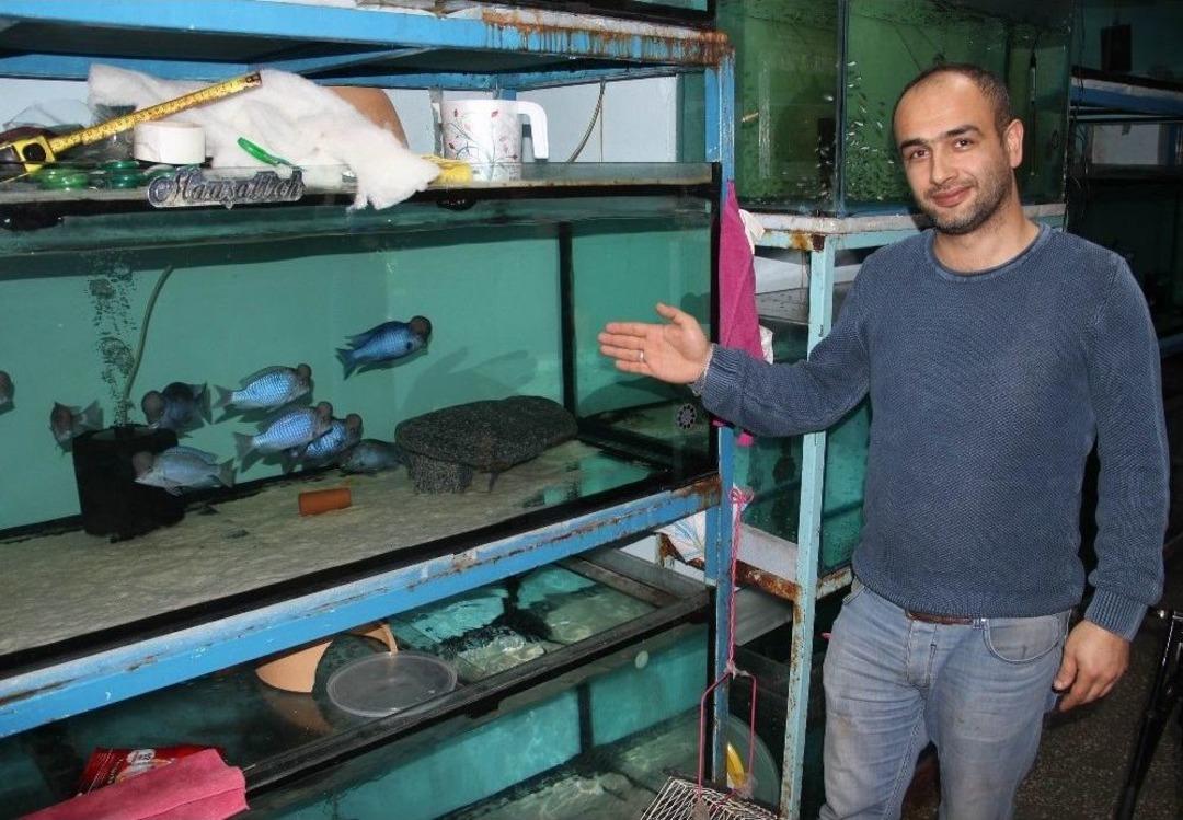 Bu Balığı G&ouml;renler Hayrete D&uuml;ş&uuml;yor