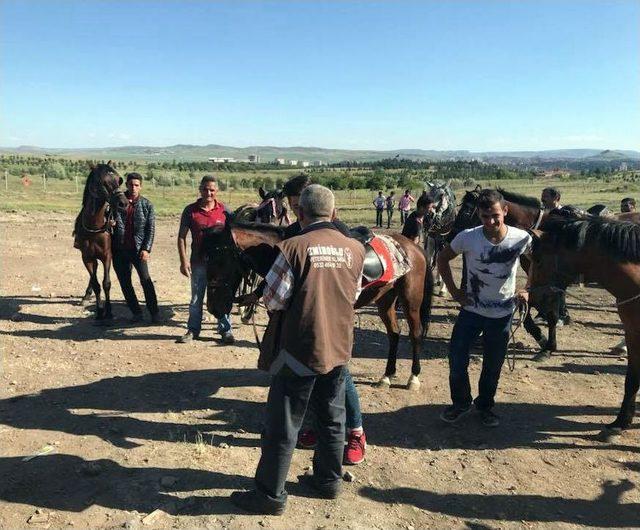 Polatlı’da İlkokul Öğrencilerine At Yarışı Etkinliği