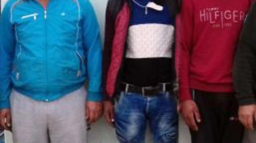 G&uuml;vercin Katliamı Yapan 3 Şahsa 13 Bin 428 Tl Para Cezası