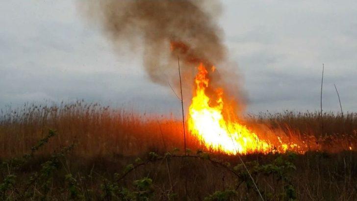 İznik’te Sazlık Yangını G1