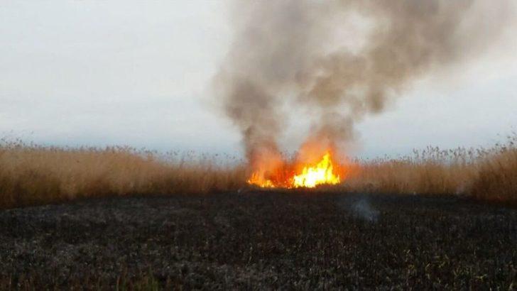 İznik’te Sazlık Yangını G2