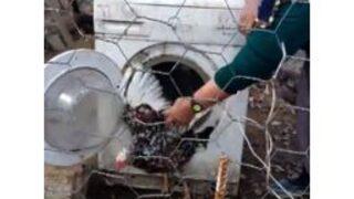 Çamaşır Makinesini Tavuklarına Kümes Yaptı