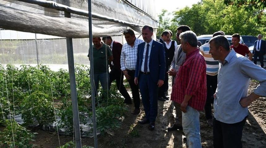 İneg&ouml;l Belediye Başkanı Taban: &ldquo;tarım Modası Ge&ccedil;meyen Tek Sekt&ouml;rd&uuml;r&rdquo;