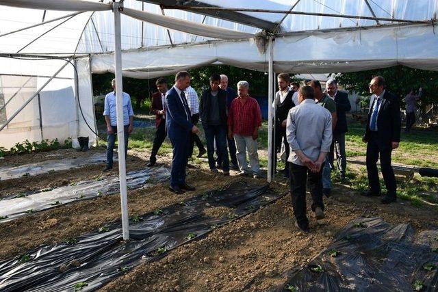 İnegöl Belediye Başkanı Taban: “tarım Modası Geçmeyen Tek Sektördür”