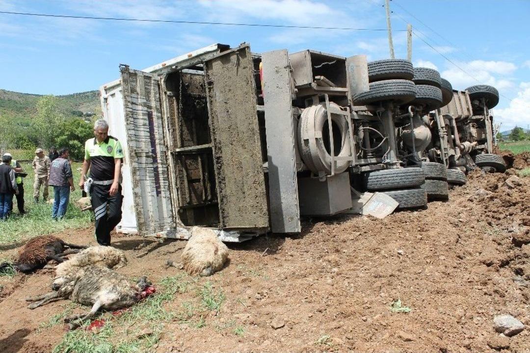 Elazığ&rsquo;da Feci Kaza: 6 Kişi Yaralandı, 100 Koyun Telef Oldu