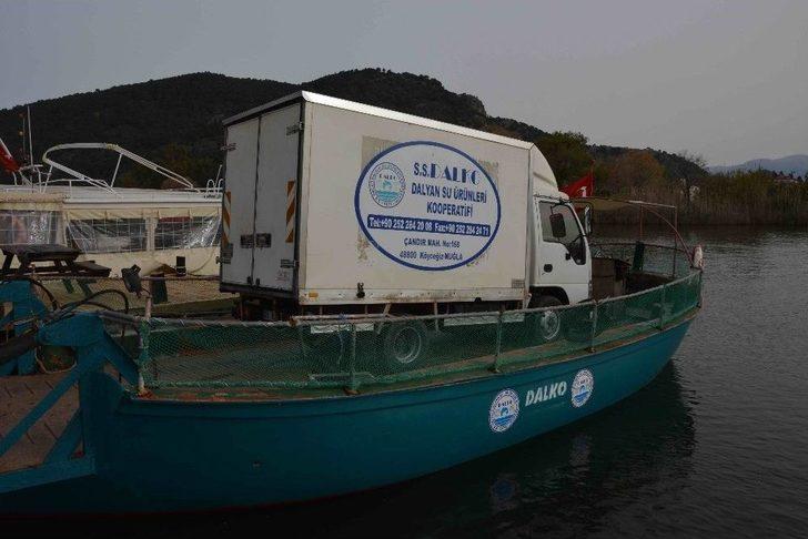 Dalko Başkanı Yalılı; “amacımız Bölge Ve Ülke İnsanına Ucuz Balık Yedirmek” G4