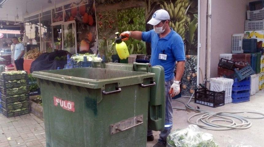 Sinekle M&uuml;cadelede Yaz Mesaisi