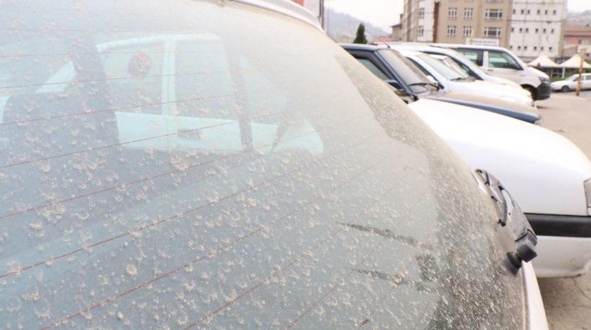 Zonguldak&rsquo;ta &Ccedil;amur Yağdı, S&uuml;r&uuml;c&uuml;ler Şaşırdı