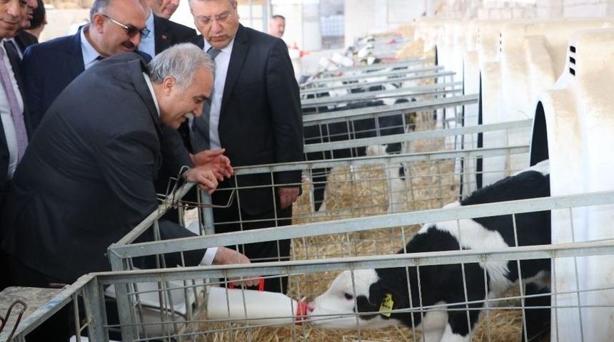 Bakan Fakıbaba: "niğde&rsquo;den 15 &Uuml;lkeye Patates Tohumu Satacağız"